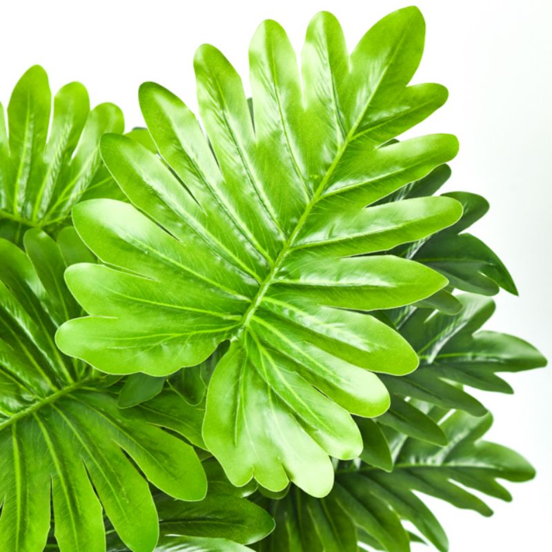 The living room of the simulation plant potted decoration fake green plant indoor floor decoration small bonsai simple creative fake flower decoration 8 details Picture