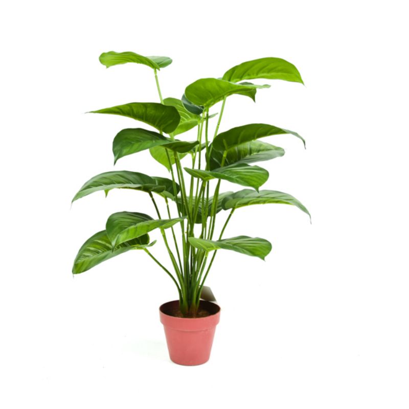 Nordic wind simulation green plant bionic turtle back bamboo plant decoration fake flower decoration living room INS wind small pot full figure