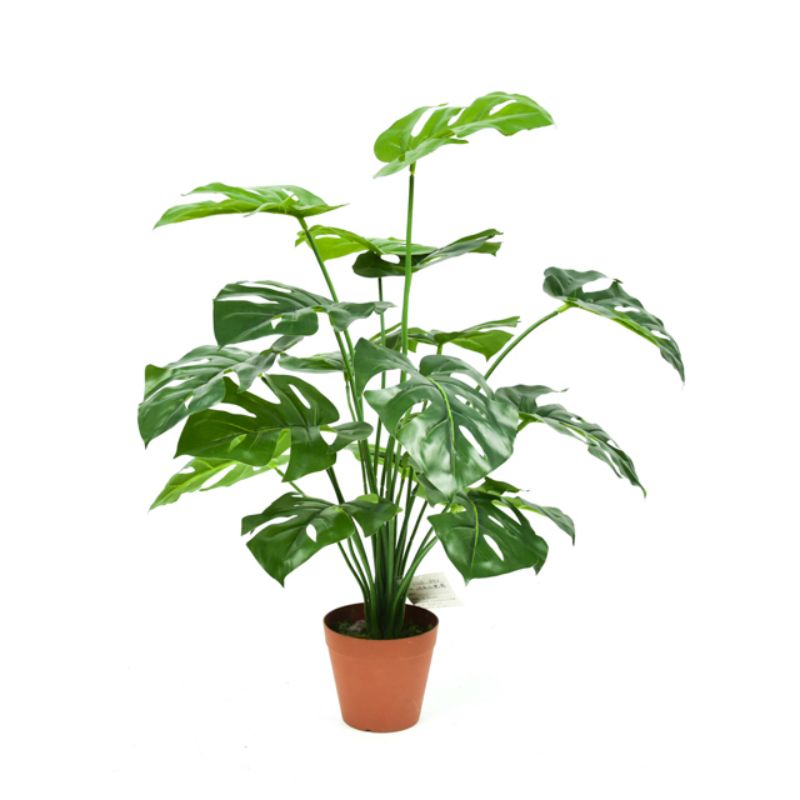 Single plant simulation large green plant potted decoration fake flower family commercial landing decoration simulation plant full figure