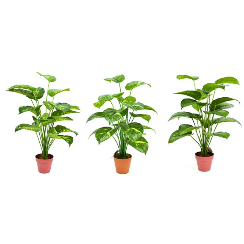 Nordic wind simulation green plant bionic turtle back bamboo plant decoration fake flower decoration living room INS wind small pot Application Scenario