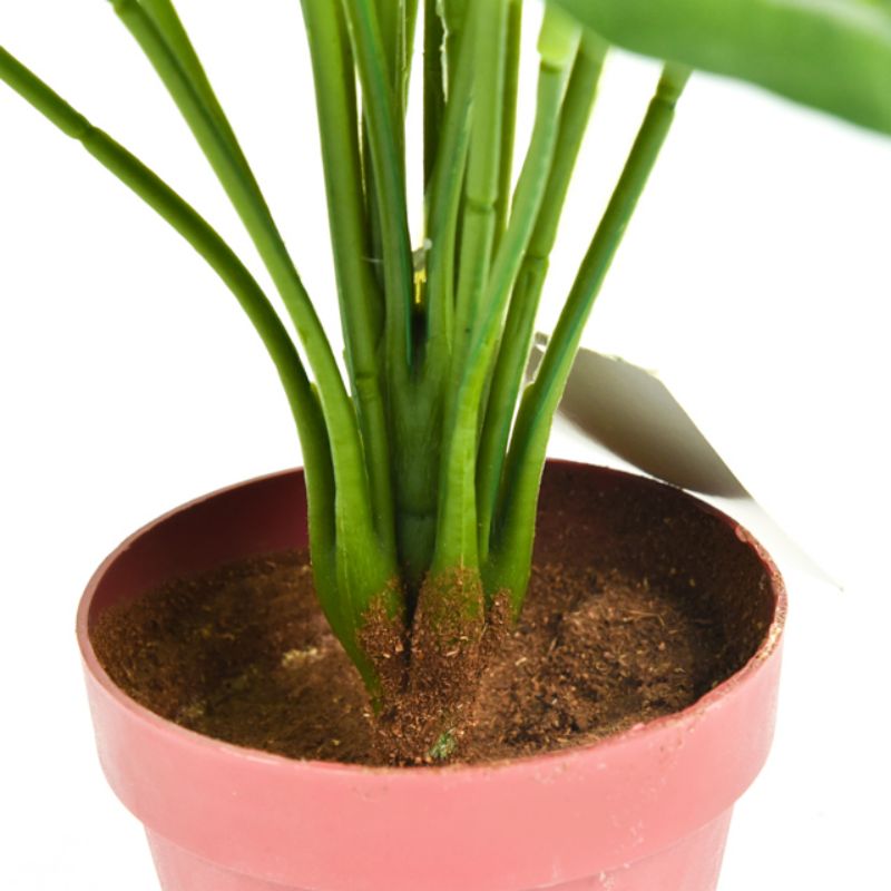 Nordic wind simulation green plant bionic turtle back bamboo plant decoration fake flower decoration living room INS wind small pot details Picture