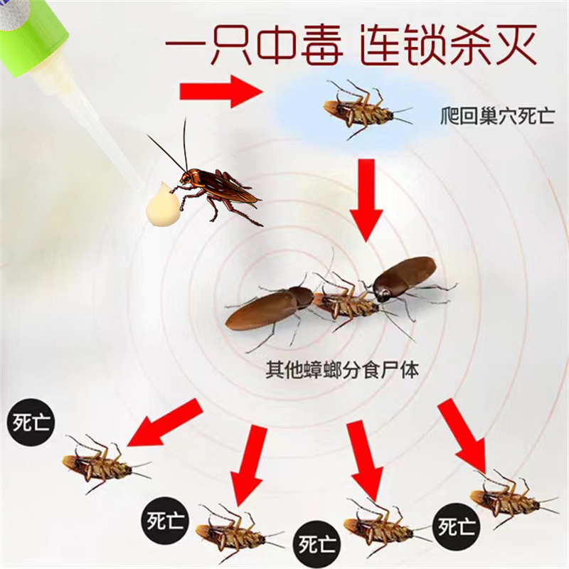 蟑螂药家用一窝端杀蟑胶饵剂厨房强力扫净除蟑通杀大小通杀非无毒详情2