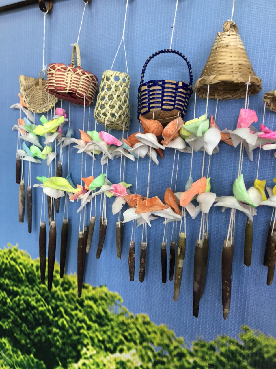宝利来贝壳厂