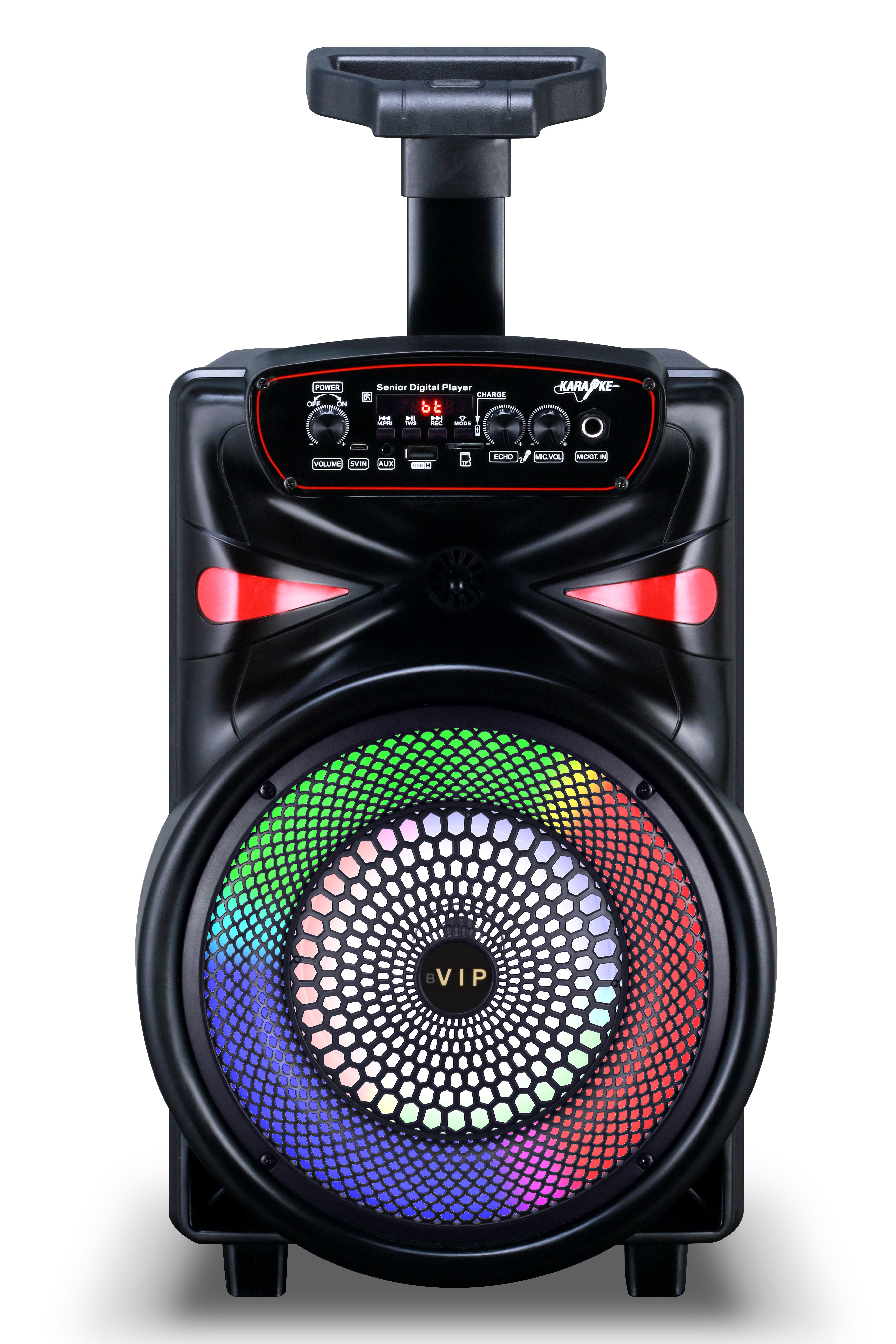 Jr-1001 10-Inch Outdoor Pull Rod Bluetooth Speaker