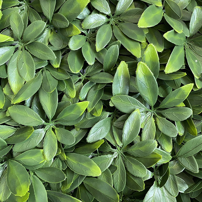 uv anti -uv simulation plant wall rich leaves plastic green wall door head interior decoration plant flower wall thumbnail