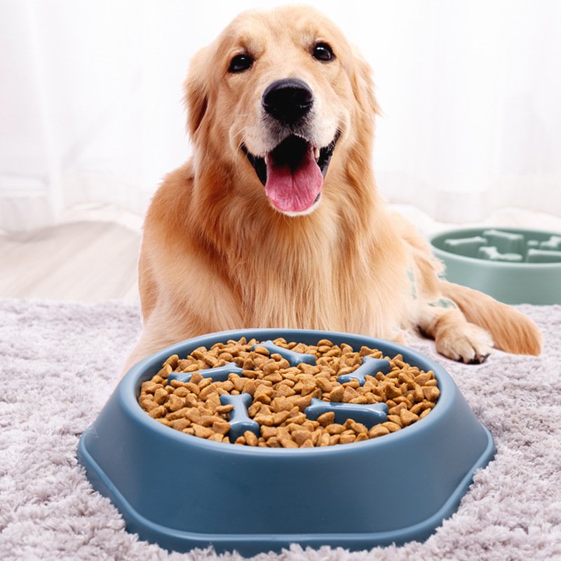 New pet dog bowls, anti-tipping and anti-slip dog food bowls, dog slow food licking bowls, anti-choking feeders, pet supplies Application Scenario