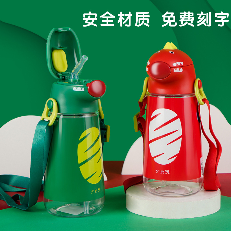 Water bottle with straw for kids