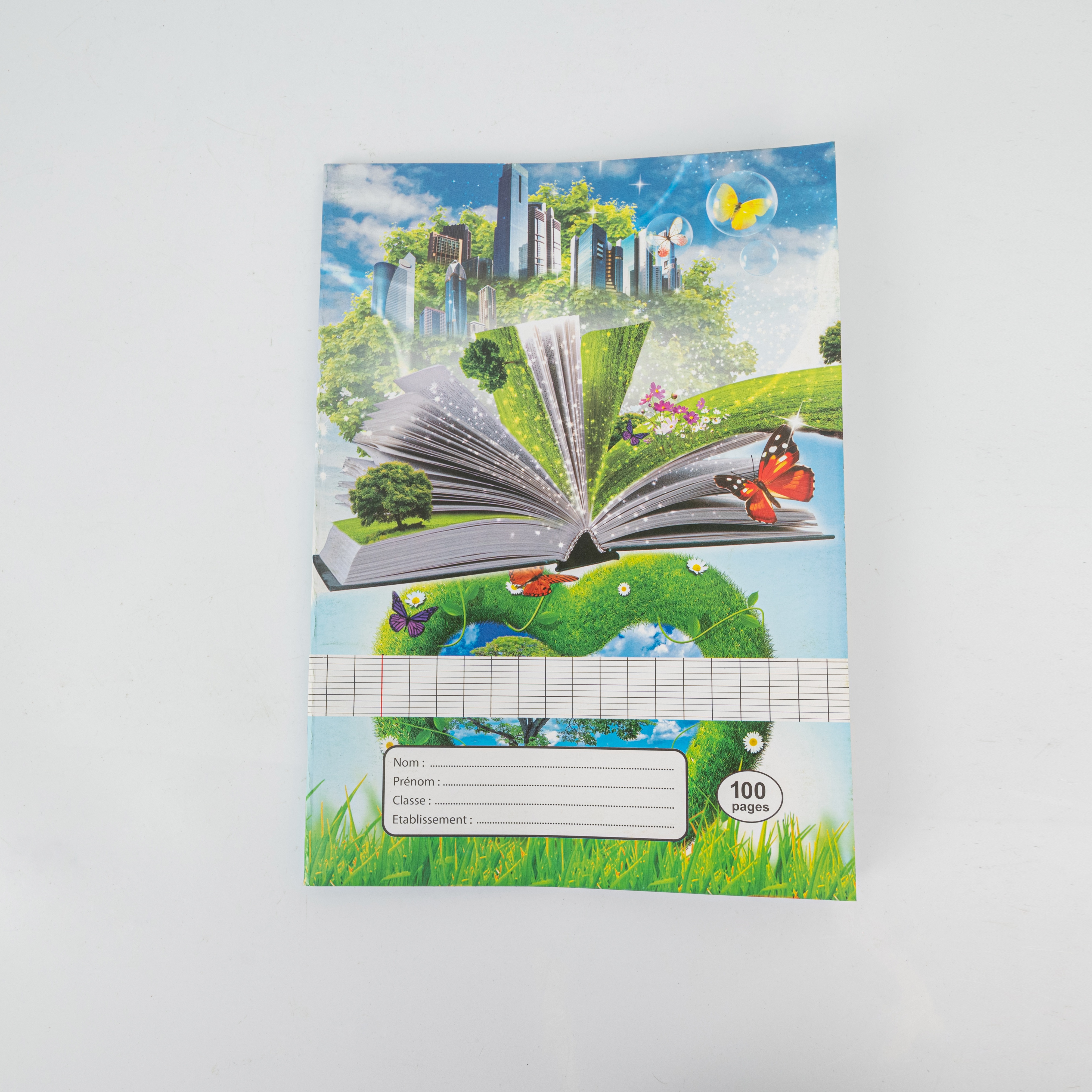 A4 French Notebook Student Soft Copy Size 100P Can Be Customized