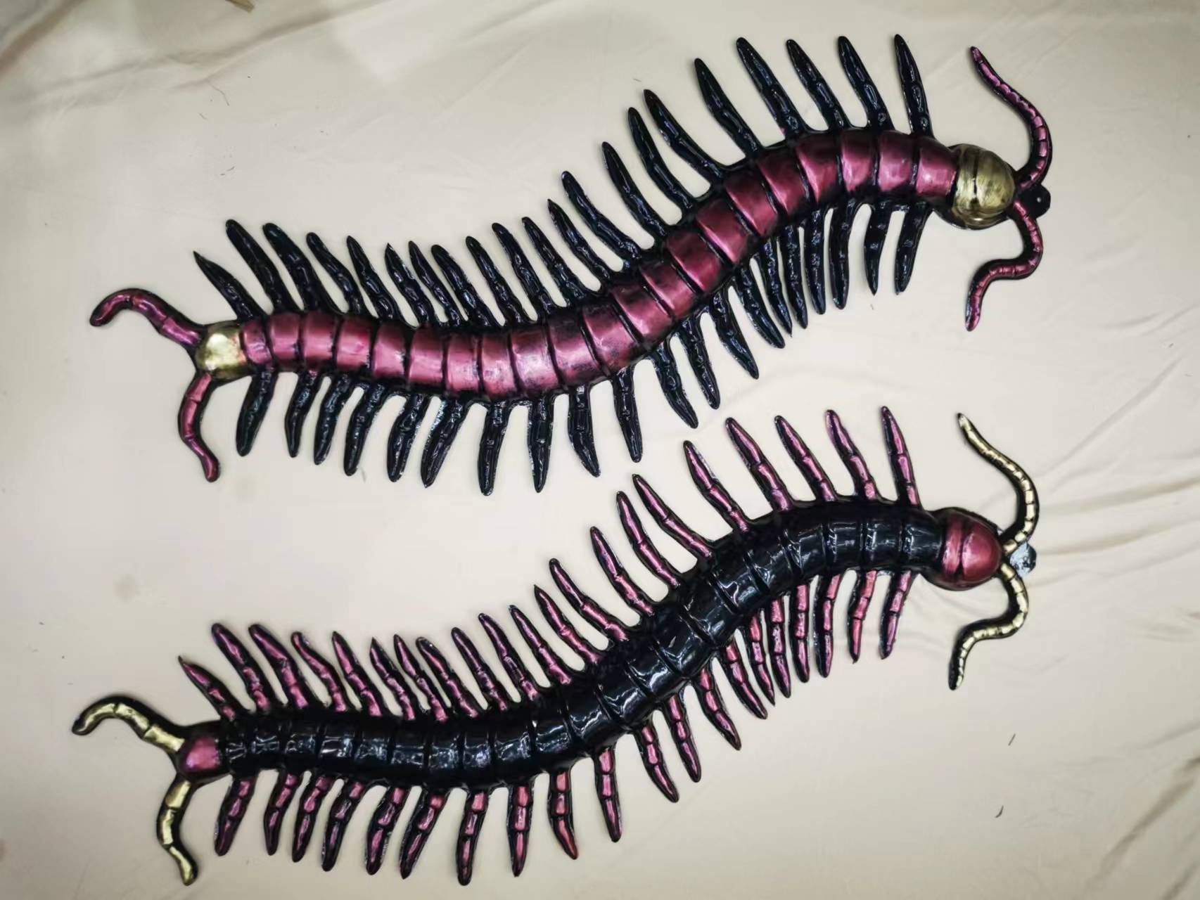 90cm centipede.2022 thumbnail