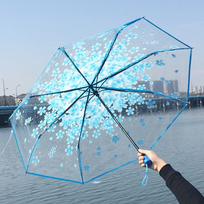 Cherry blossom transparent umbrella