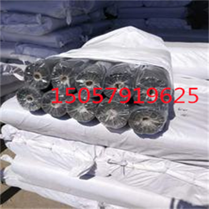 彩边玻纤窗纱 红白 蓝黑 纱窗 防蚊子窗纱 门窗 出口埃及非洲详情5
