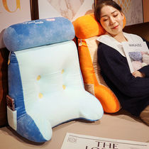 Sofa pillow small