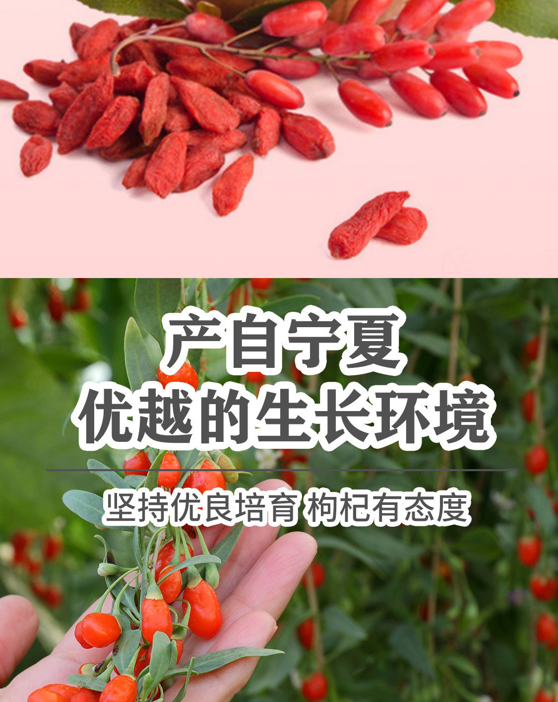 一品爽枸杞200克详情7