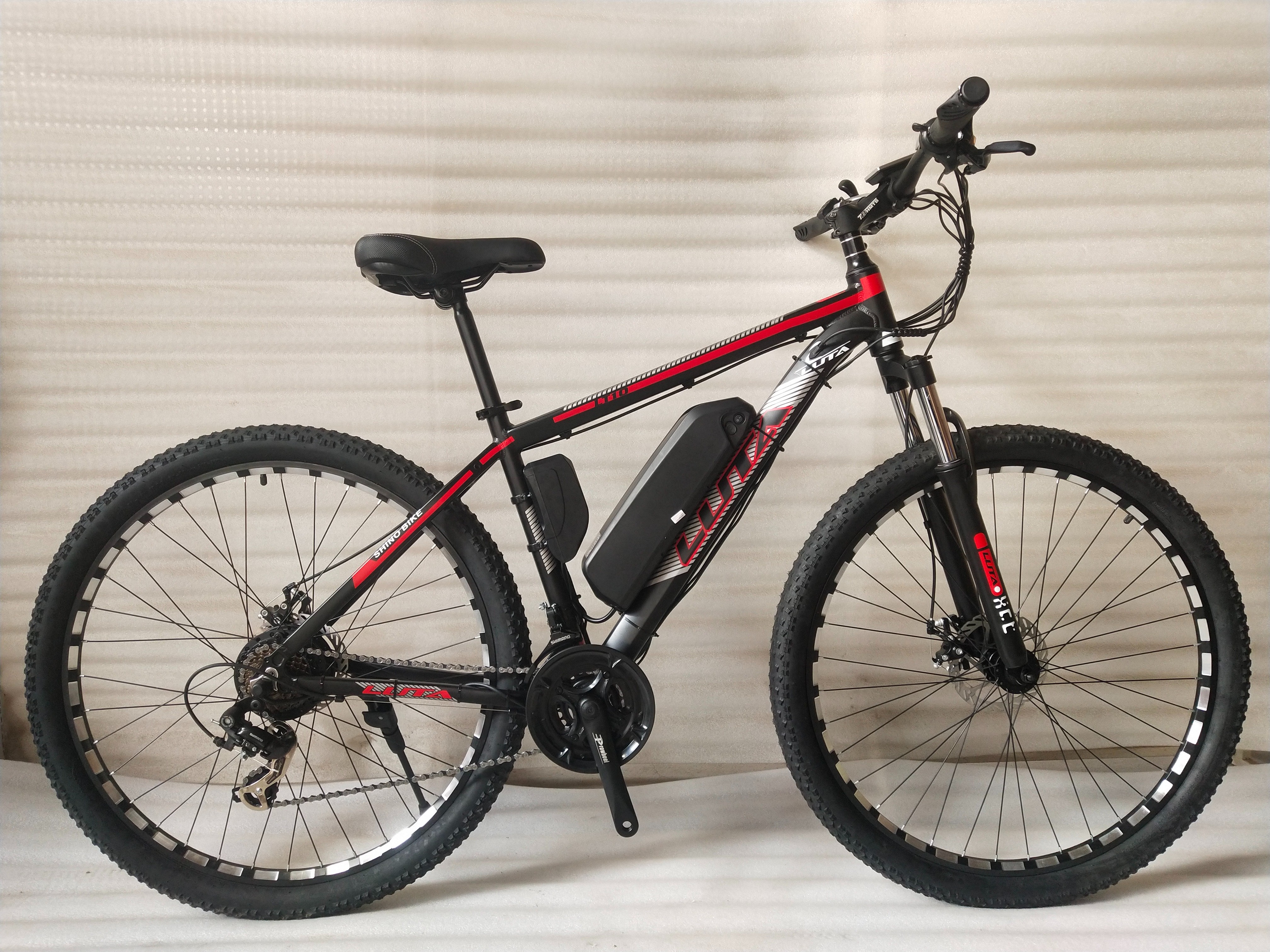 LUTA electric mountain Bike 29 "21-789 Specification drawing