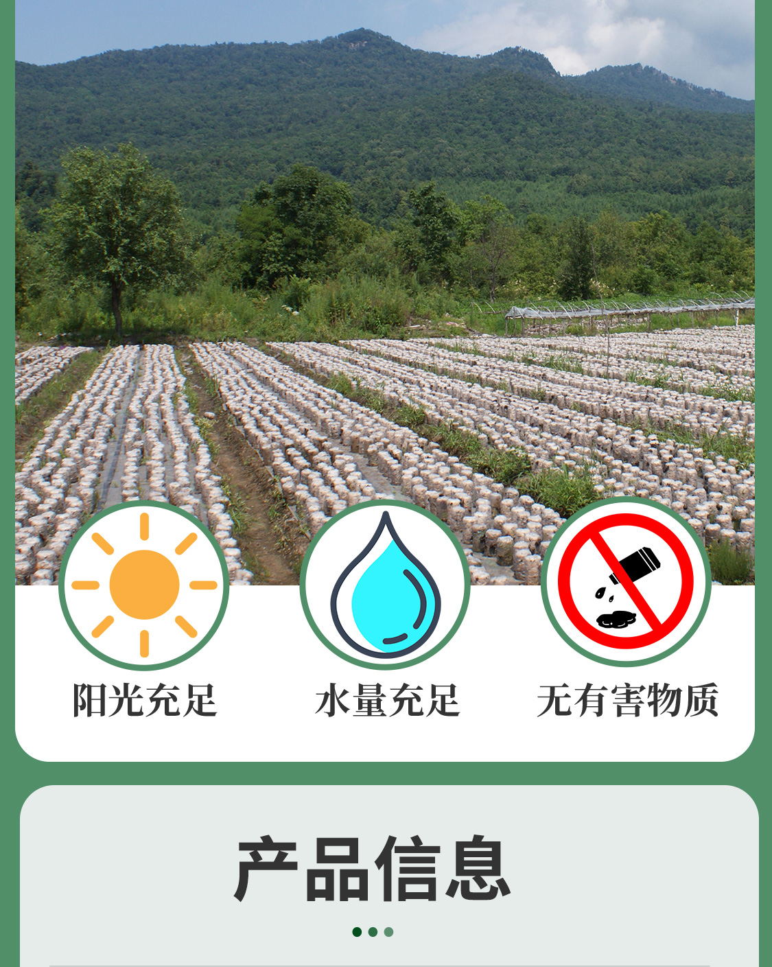 一品爽黑山木耳108克详情9