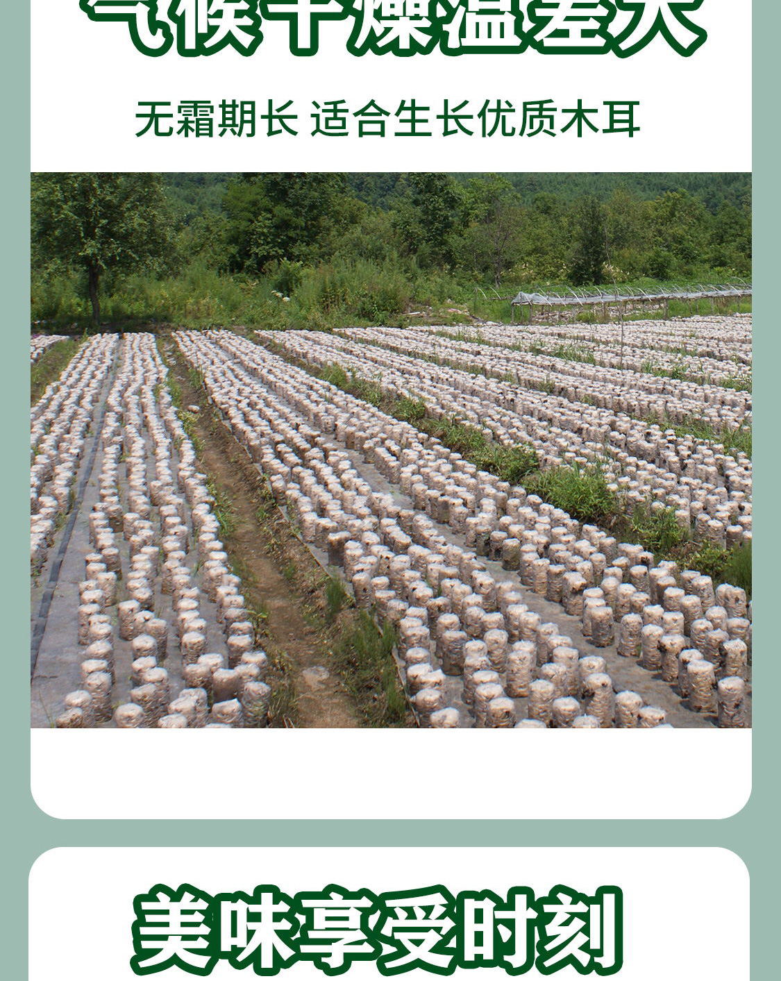 一品爽黑木耳200克详情6