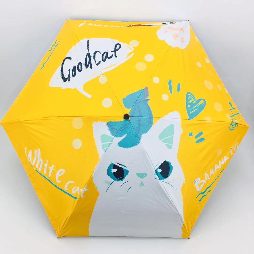 五折/黑胶/防晒产品图