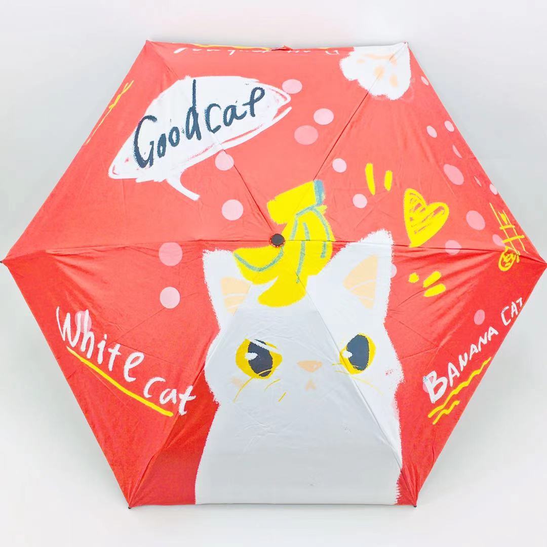 五折/黑胶/防晒细节图