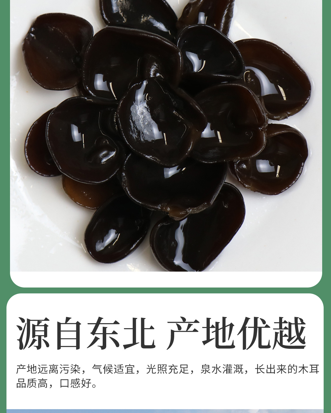 一品爽黑山木耳108克详情8