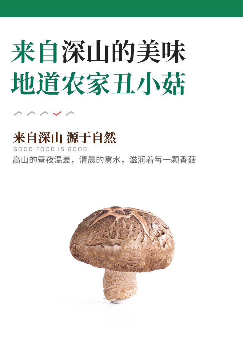 浙江高山特产丑小菇干货山友详情2