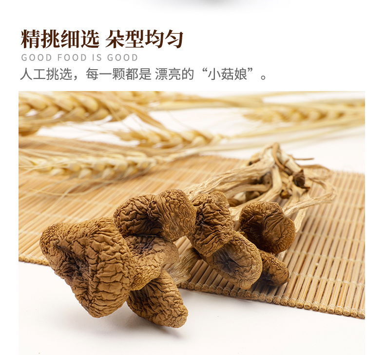 浙江高山特产茶树菇干货不开伞菇干茶菇美味天然菌菇肉厚罐装山友详情3