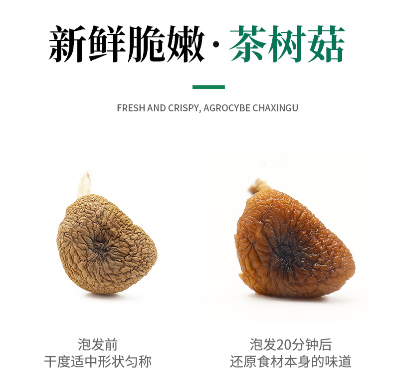 浙江高山特产茶树菇干货不开伞菇干茶菇美味天然菌菇肉厚罐装山友详情10