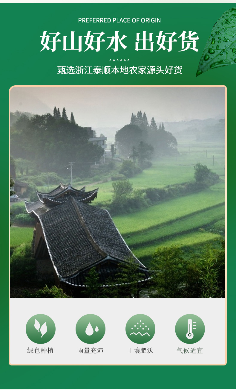 浙江高山特产丑小菇干货山友详情8