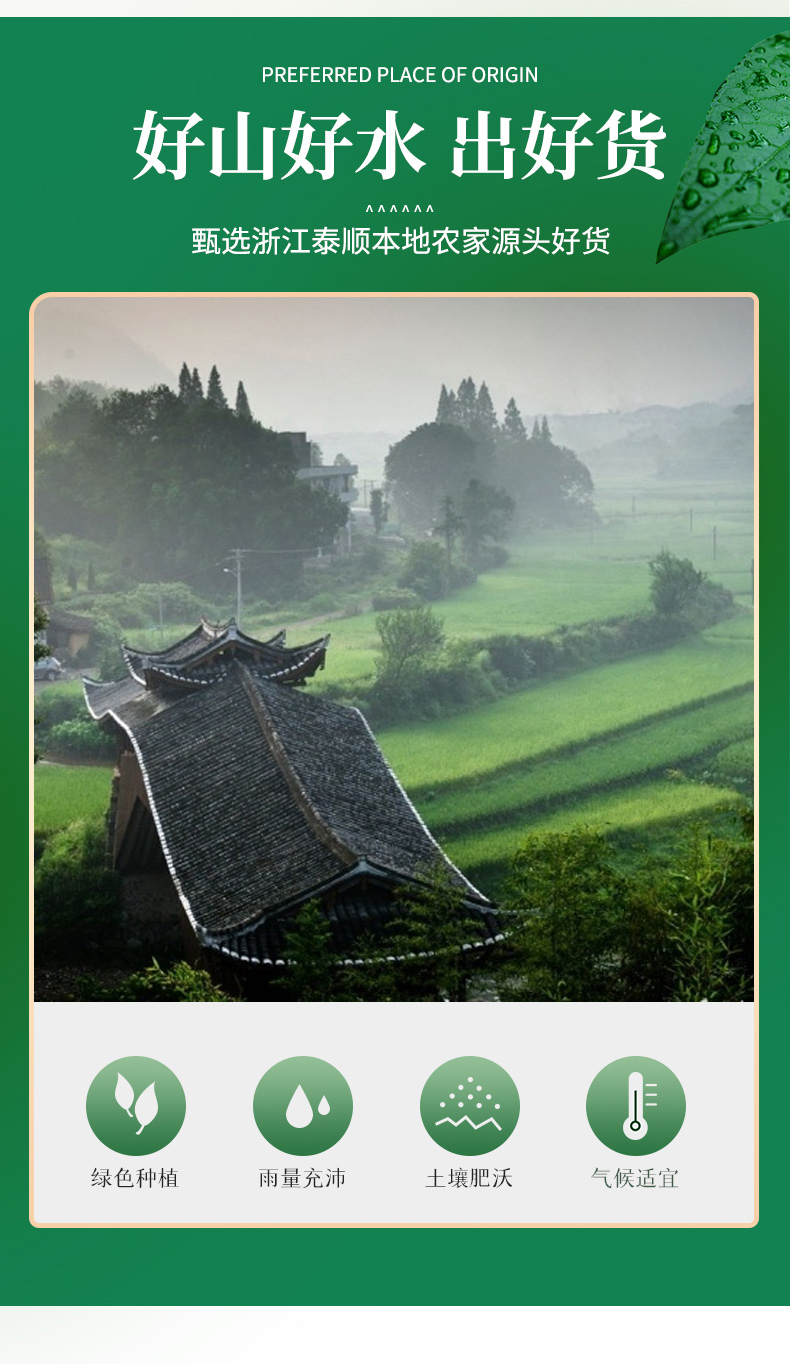 浙江高山特产茶树菇干货不开伞菇干茶菇美味天然菌菇肉厚罐装山友详情8