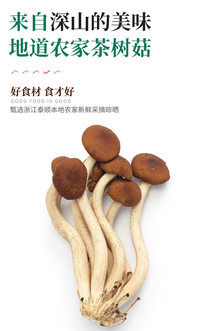 浙江高山特产茶树菇干货不开伞菇干茶菇美味天然菌菇肉厚罐装山友详情2
