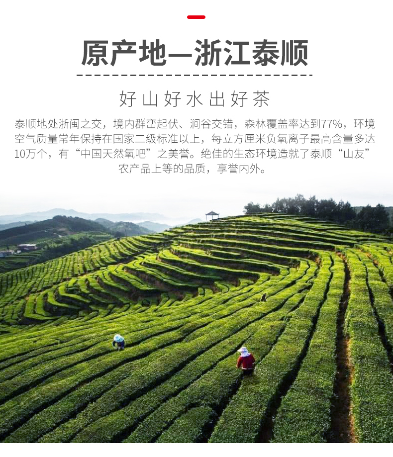 浙江山友特产高山老白茶详情3