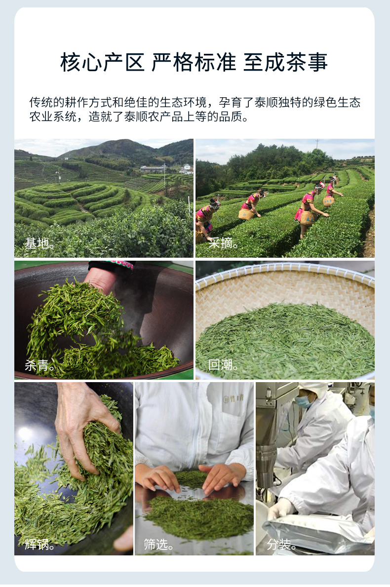 浙江山友特产蓝田玉出礼盒茶叶详情14