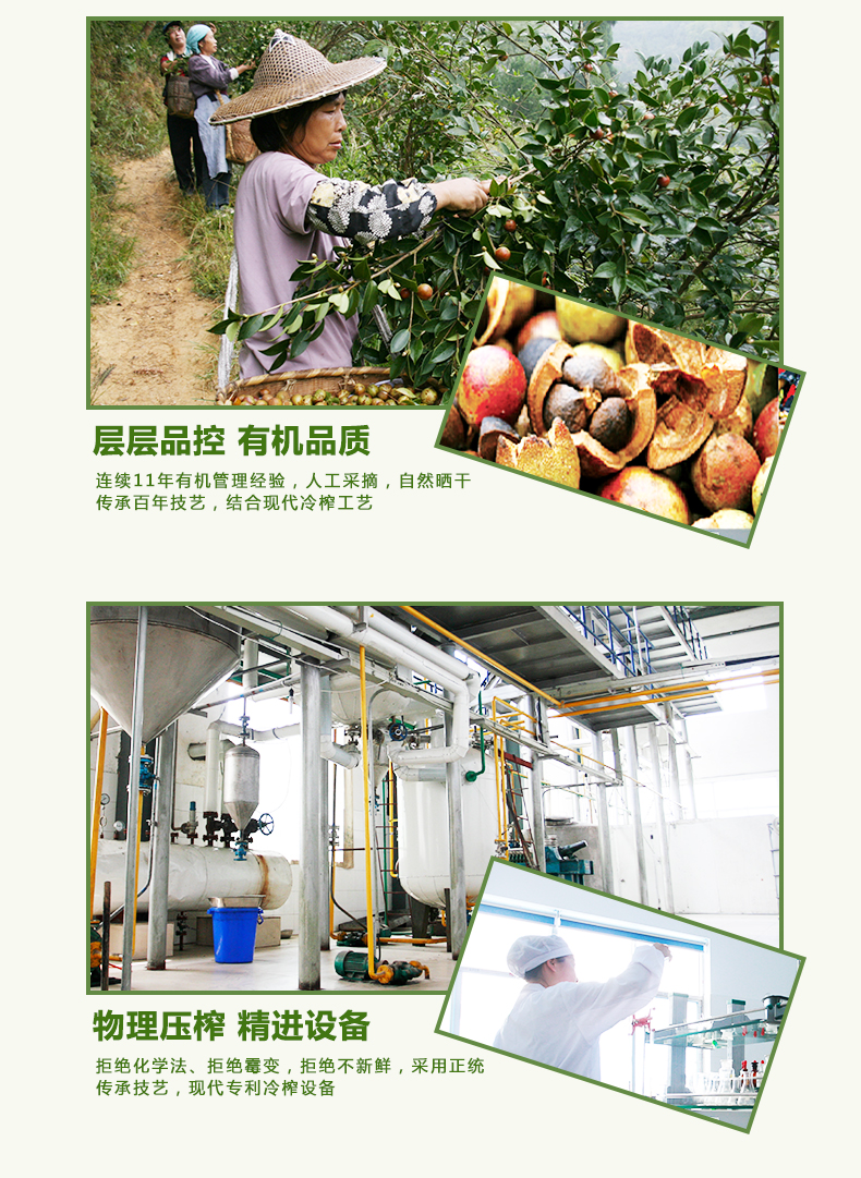 刘家香有机山茶油500ml详情4