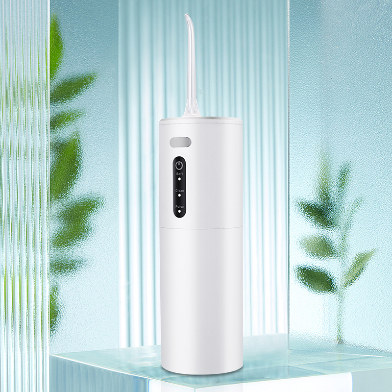 Portable electric tooth punch standard full-body waterproof tooth punch