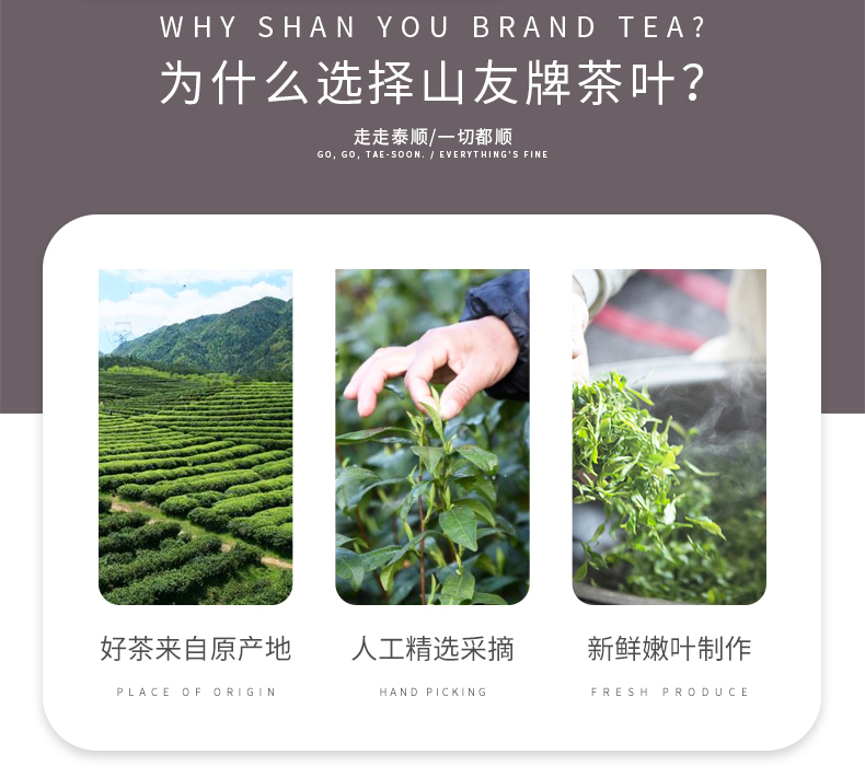 浙江山友特产高山老白茶详情2