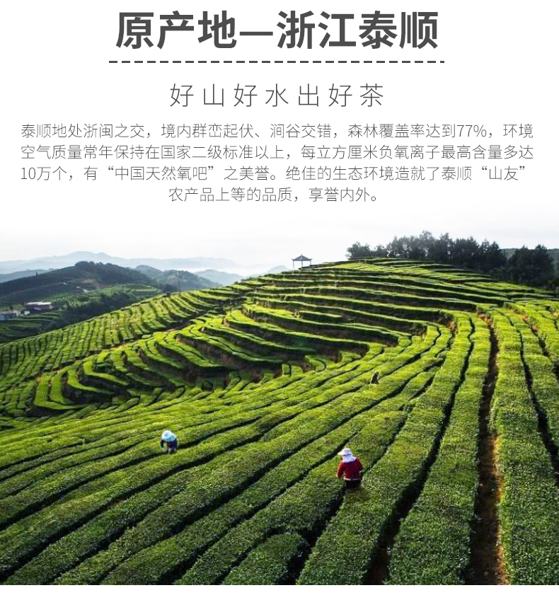 浙江山友特产乌岩红茶礼盒装详情3