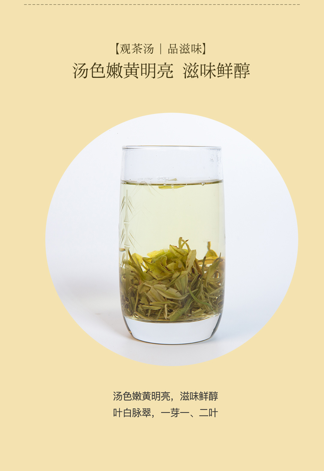 东海龙舌白茶（精品）白化茶礼品茶新茶25g*4/盒详情7