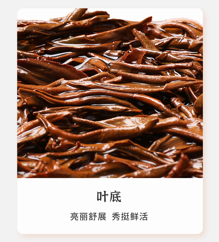 仙青红红茶新茶精品125g小罐装礼盒装详情10