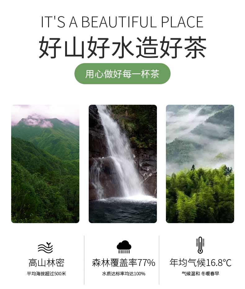 浙江山友特产三杯香绿茶125g袋装详情11