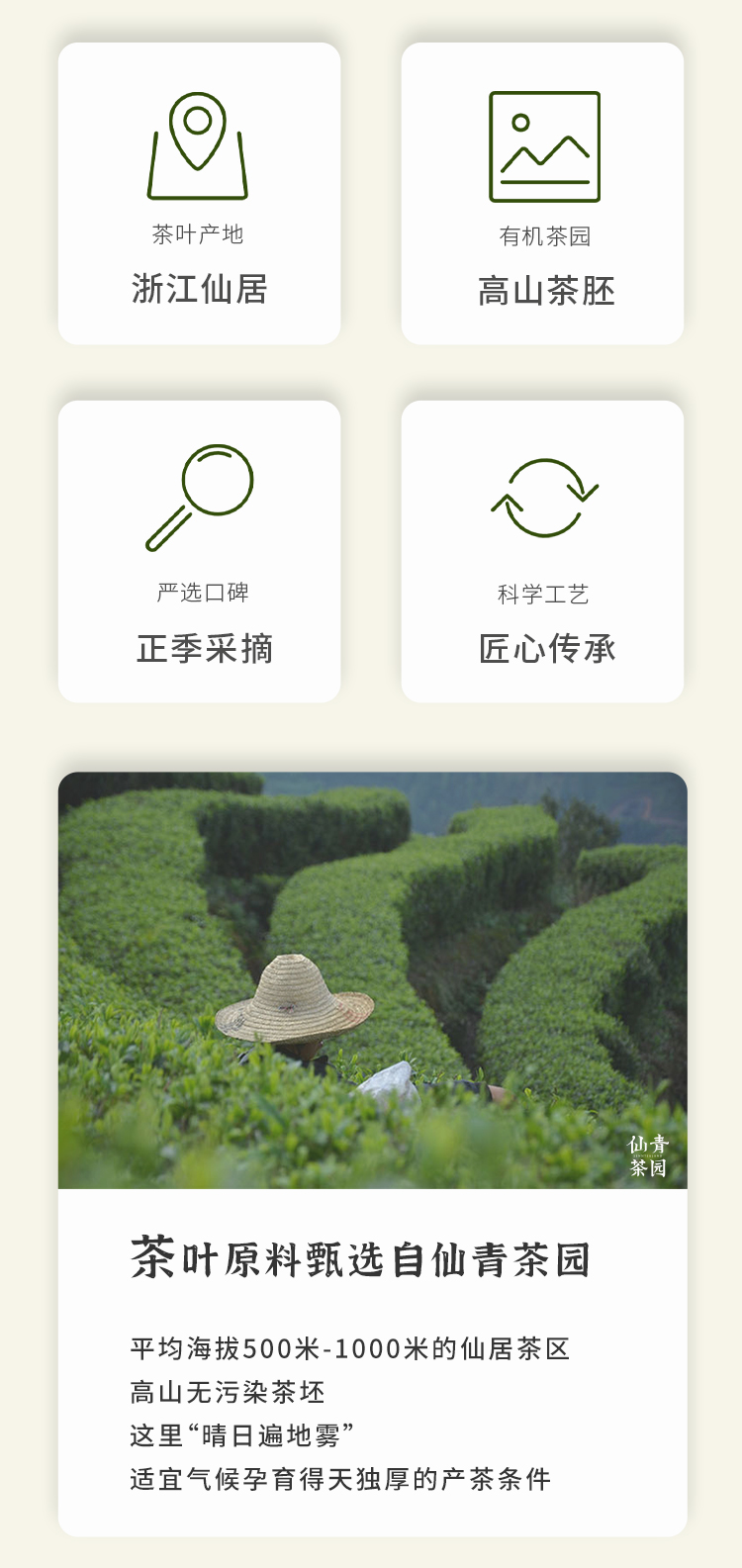 仙青特级云雾茶2022新茶仙居高山云雾春茶250克明前特级绿茶茶叶详情2