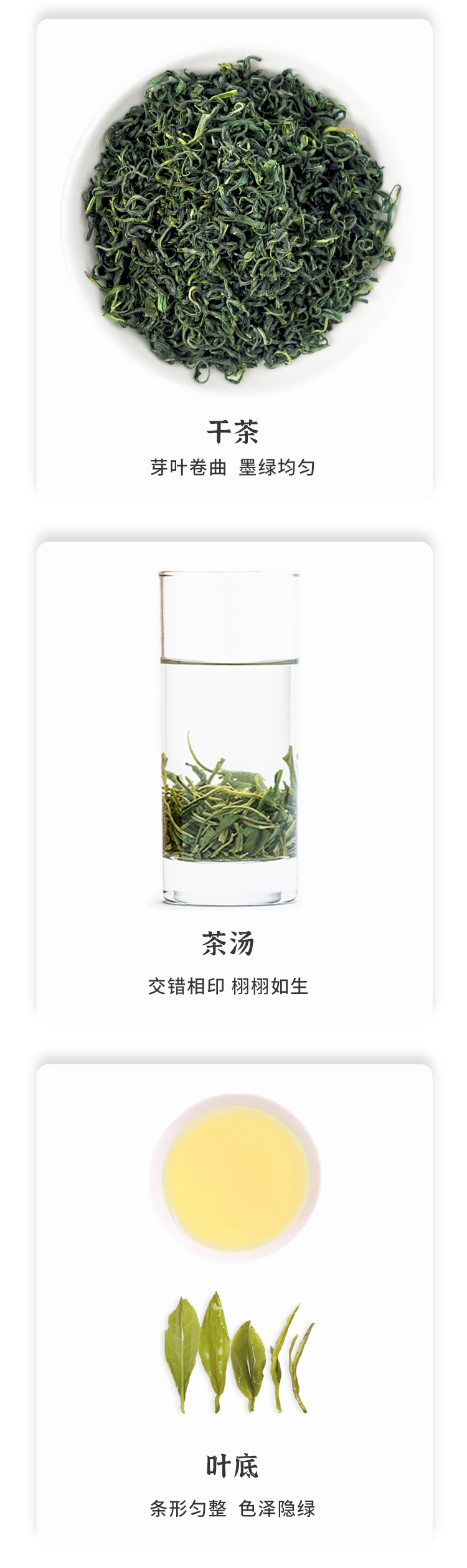 2022春茶特级云雾茶仙居云雾茶明前绿茶仙青云雾250克袋装详情3