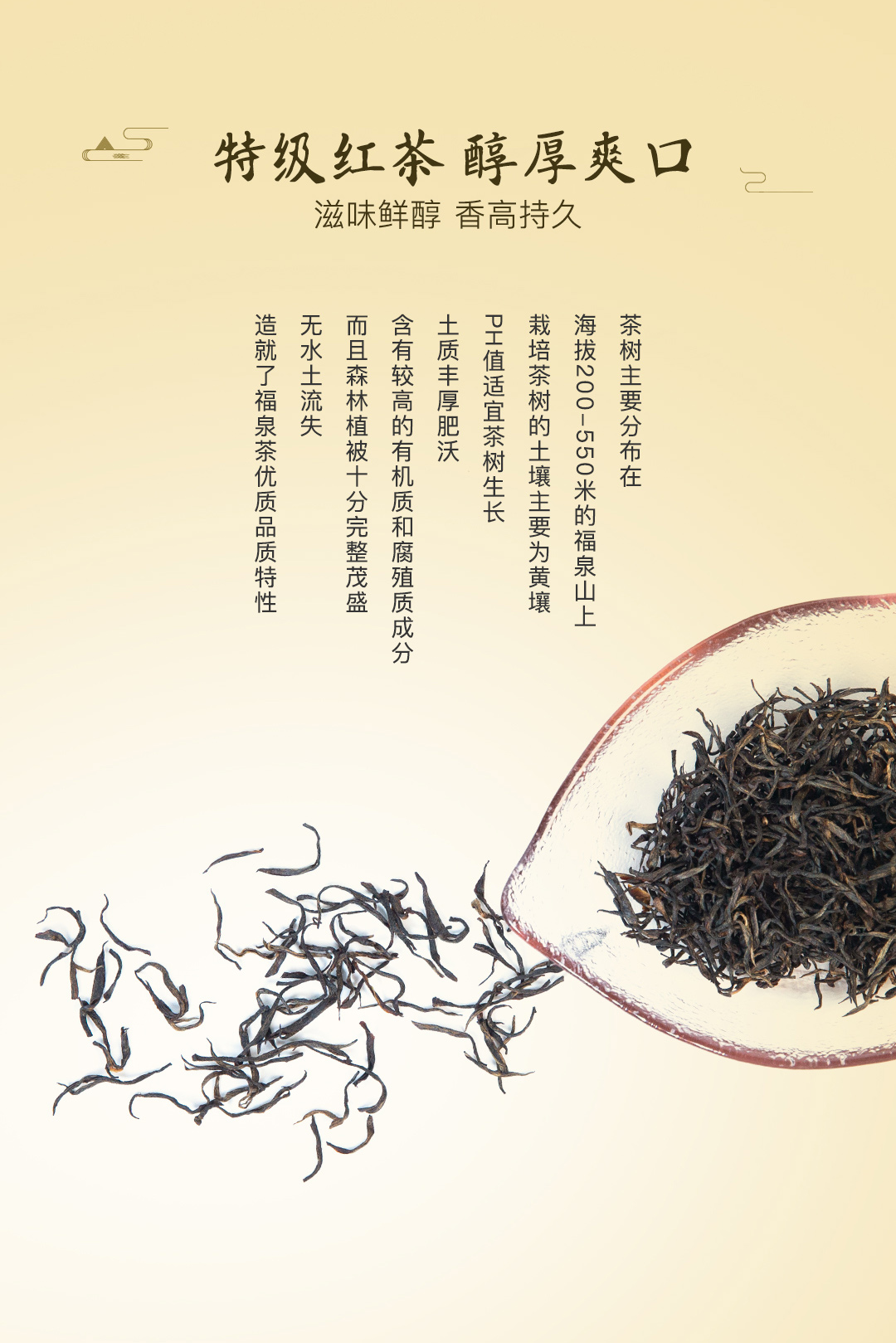 福泉红茶（特一级）礼品茶25g*4/盒详情5