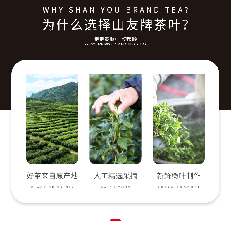 浙江山友特产泰顺三杯香绿茶小罐茶详情2