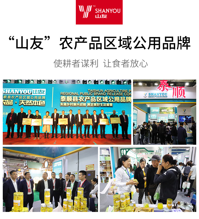 浙江山友特产金丝皇菊10g一罐大朵皇菊详情1