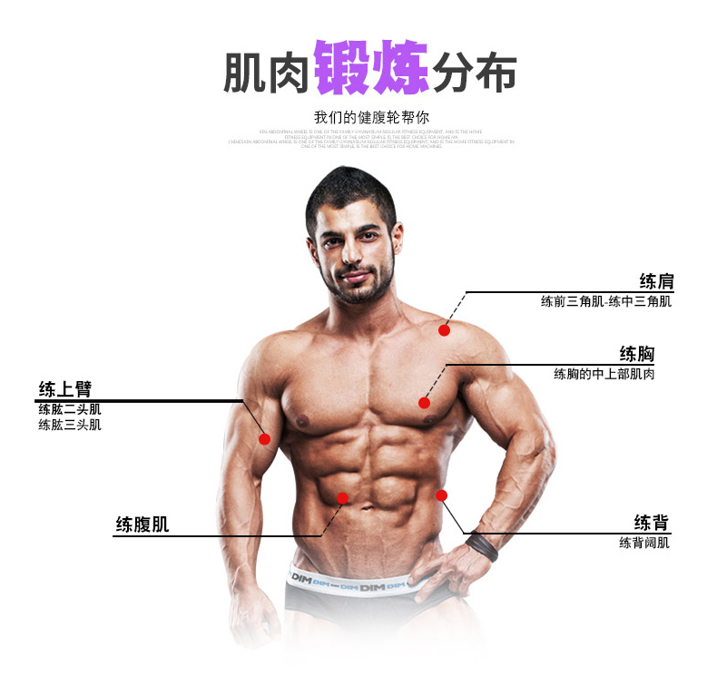 HJ-B094会军义体健巨无霸健腹轮自动回弹腹肌速成神器详情12