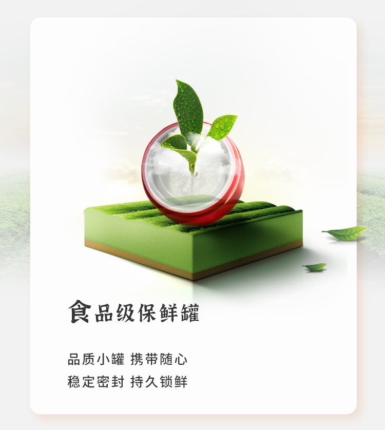 仙青红红茶新茶精品125g小罐装礼盒装详情12