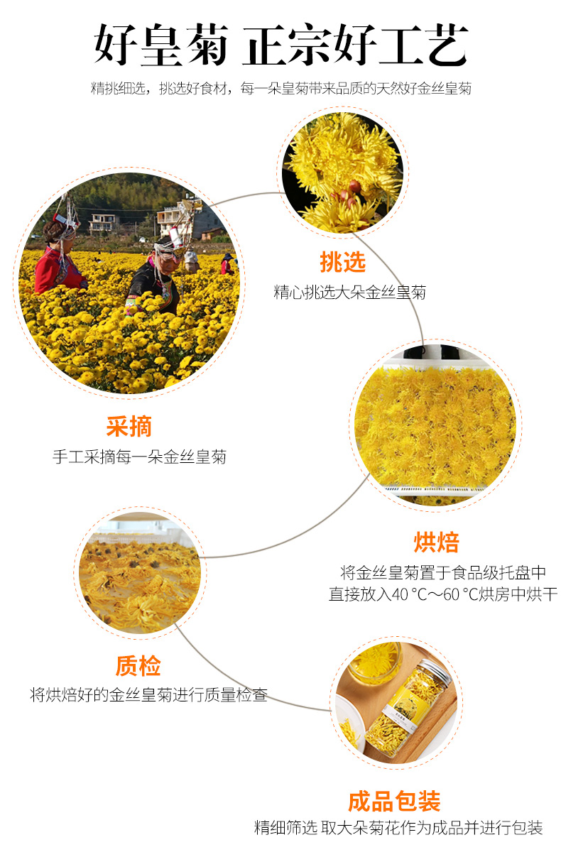 浙江山友特产金丝皇菊10g一罐大朵皇菊详情6