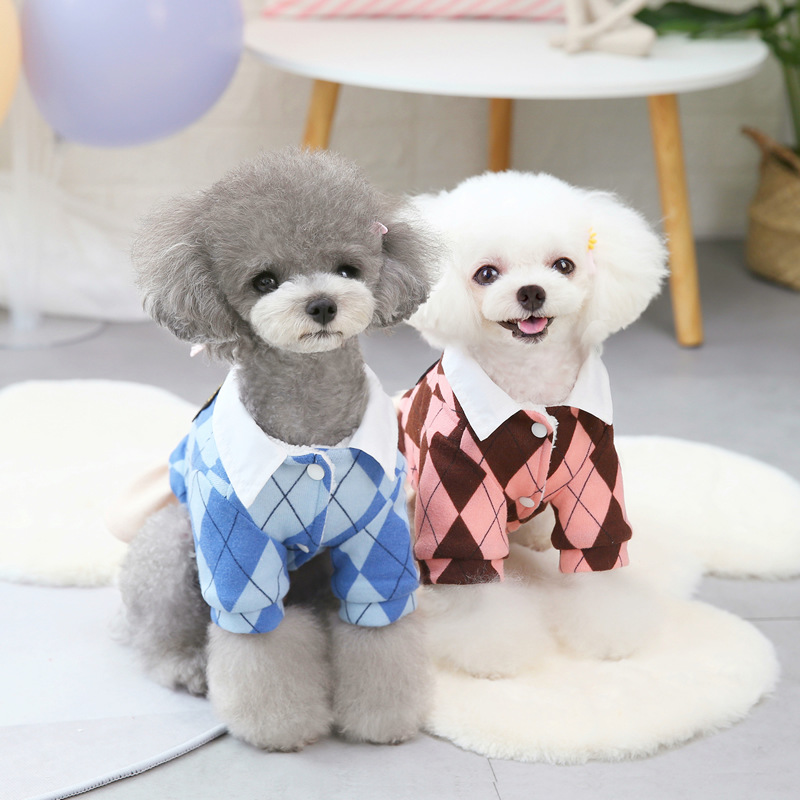 狗狗服装实物图