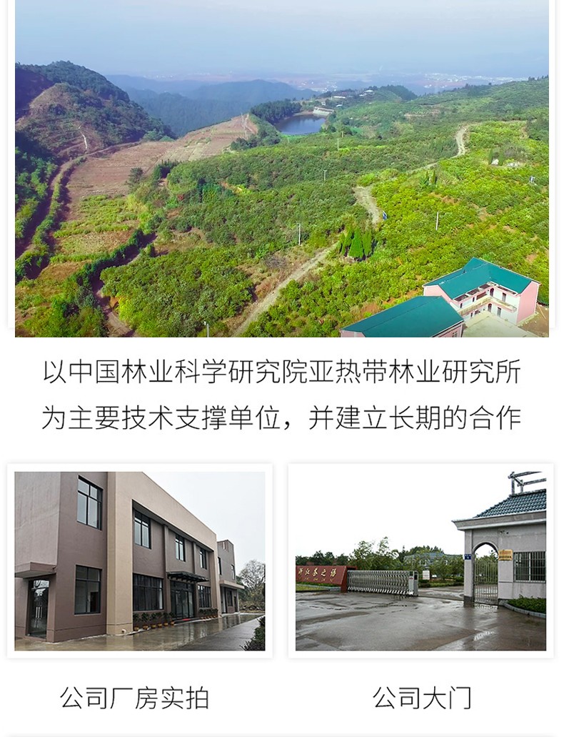  茶之语纯正山茶油食用油265ml茶籽油农家自榨野生茶树油礼盒详情3