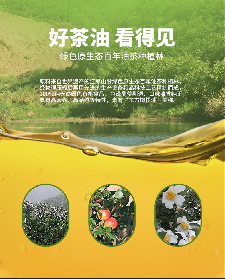  茶之语纯正山茶油食用油265ml茶籽油农家自榨野生茶树油礼盒详情1