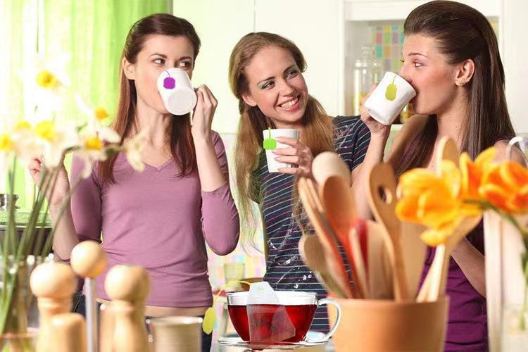 创意硅胶茶包 包包泡茶器 懒人家居书包滤茶器 硅胶茶漏模具现货详情1